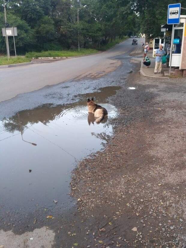 Когда наступила настоящая жара