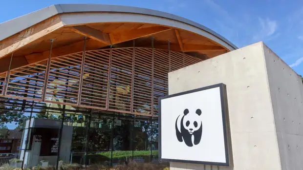 WWF России рассказал об экологических итогах года