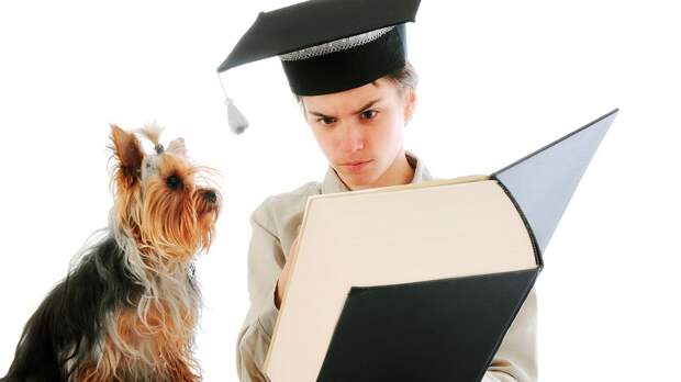 Тест: выясните, знаете ли вы больше среднего школьника. Ответите на вопросы из шестого класса?