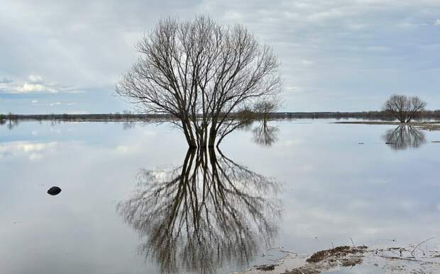 Финальный рывок половодья: Ока у Рязани еще поднялась