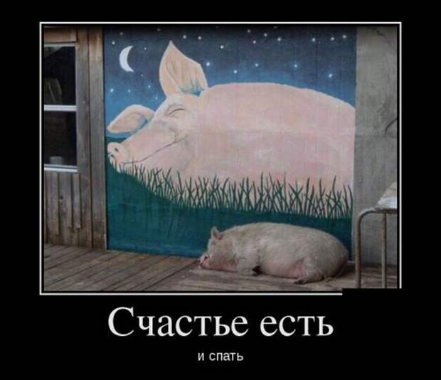 Прикольные демотиваторы для хорошего настроения (11 фото) Прикольные демотиваторы для хорошего настроения (11 фото)