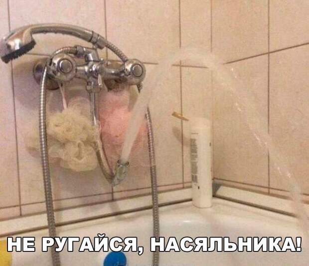Смешные и прикольные картинки с надписями картинка с надписью, комментарии, прикол, соцсети