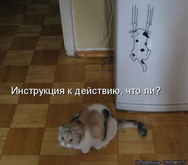 Лучшие котоматрицы недели