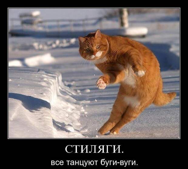 Подборка позитивных и веселых демотиваторов (10 фото)