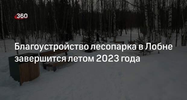Благоустройство лесопарка в Лобне завершится летом 2023 года