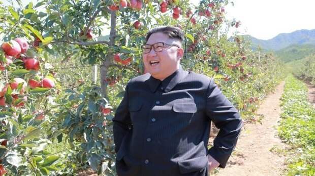 Как Ким Чен Ын учит народ работать вождь на заводе, ким чен ын, начальнику видней, партийным курсом, пропаганда, разносторонний юноша, северная корея, советы вождя