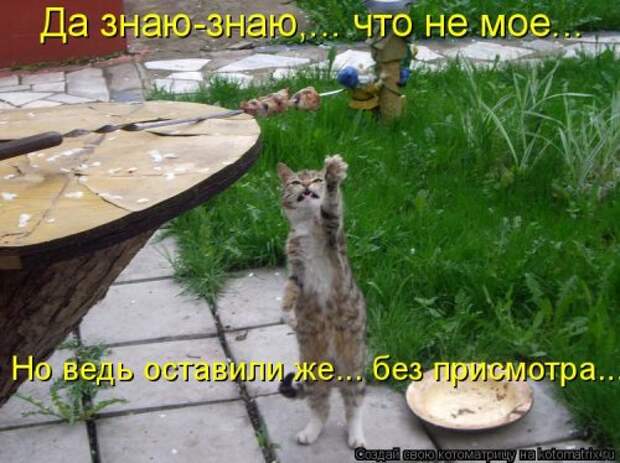 Новая котоматрица (44 шт)