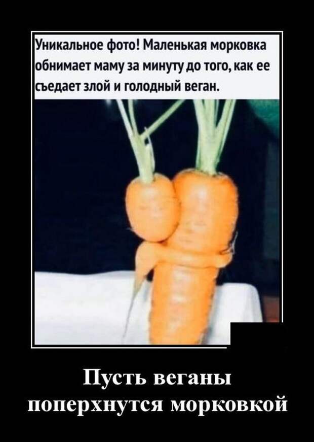 www.vsyako.net