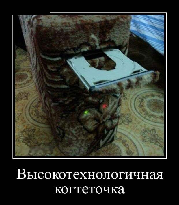 Демотиваторы