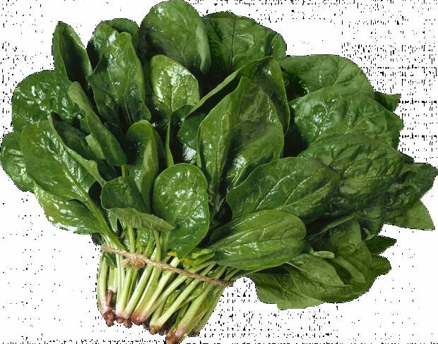 8 лучших продуктов для красоты healthproducts 5 8 лучших продуктов для красоты
