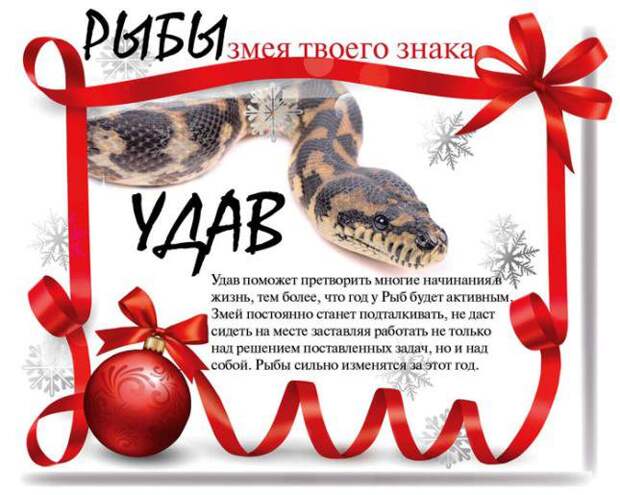 Гороскоп на предстоящий 2013 год змея, гороскоп, новый год