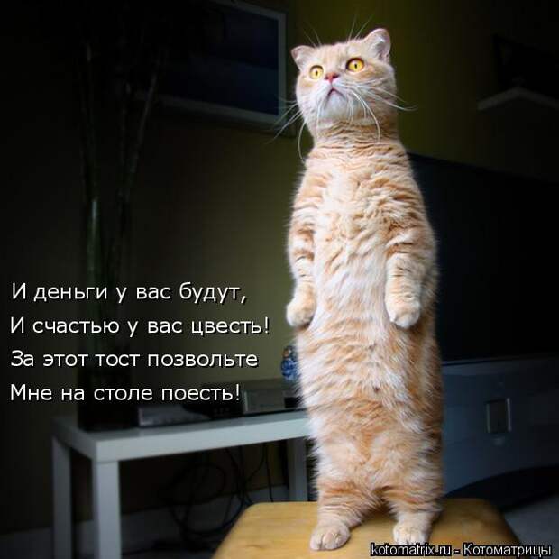 1483359531_010 (640x640, 44Kb)