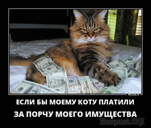 Демотиваторы для настроения