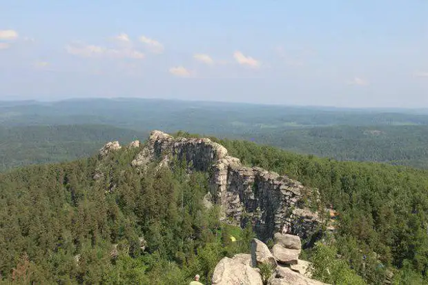 Растения Челябинской Области Фото