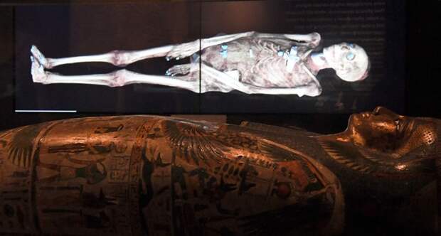 Старейший скелет гиганта археологи, археология, древний египет, древность, загадки, история, находки, раскопки