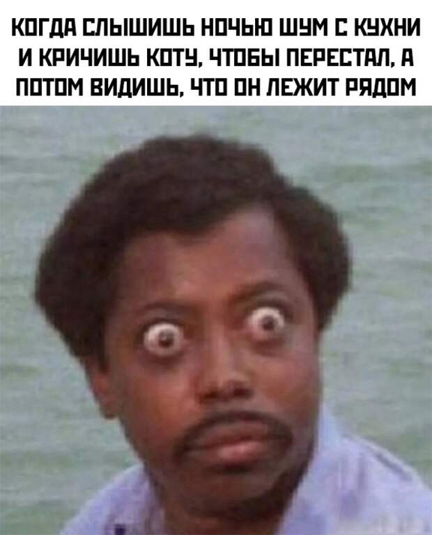 Смешные картинки 30 декабря 2021 года