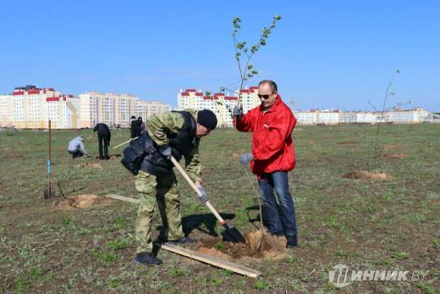 Ничто так не сплачивает, как совместный труд.