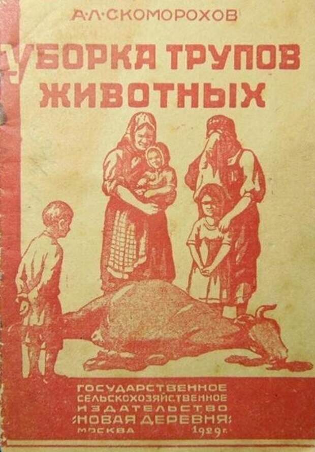 Ну и книжечки у них были! Ну и книжечки у них были!