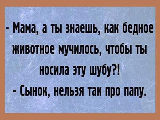 Приколы
