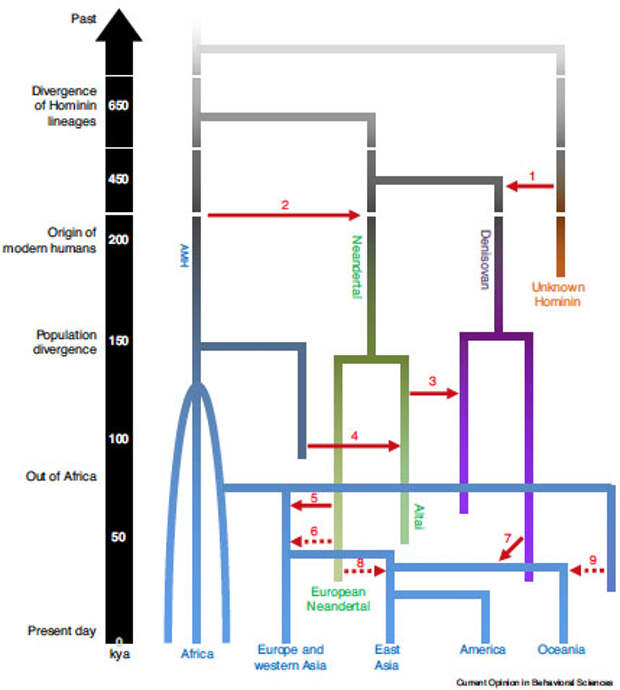 interbreeding-1