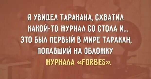 Уважаемые друзья! Часто в различных источниках можно прочесть анекдоты, от которых порой не знаешь — смеяться или плакать.-9