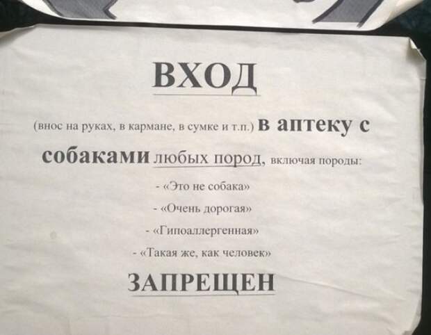 17245610-R3L8T8D-650-1430315925_1632386649