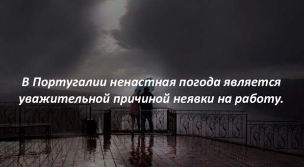 Интересные факты (40 картинок)