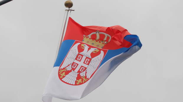 Песков заявил, что в Кремле разберутся в истории с экспортом Сербией боеприпасов