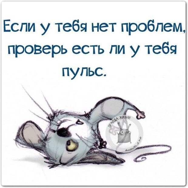 Если у вас нет проблем проверьте есть ли у вас пульс картинки прикольные