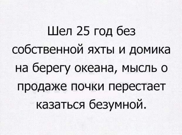 Смешные картинки с надписями для поднятия настроения (11 фото) Смешные картинки с надписями для поднятия настроения (11 фото)