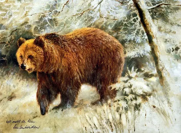 �������� ��� ���������.