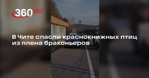 В Чите спасли краснокнижных птиц из плена браконьеров