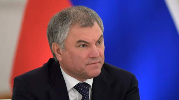 Володин прокомментировал идею о досрочных выборах в Госдуму