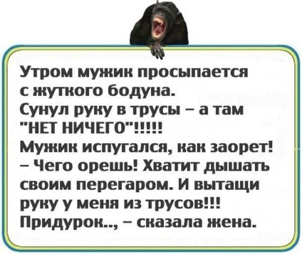 Достали руку. Мужик проснулся с бодуна. Стих про придурка мужика. Анекдоты про Мойшу и Сару.