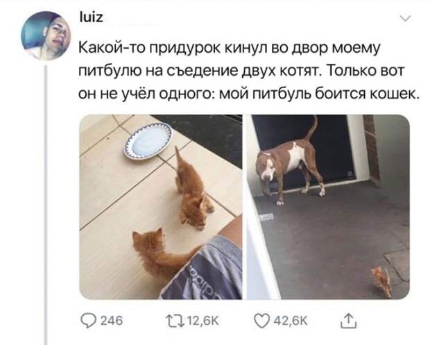 Подборка картинок (20 фото)