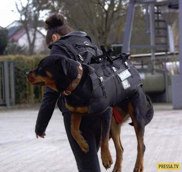 Фотоприколы