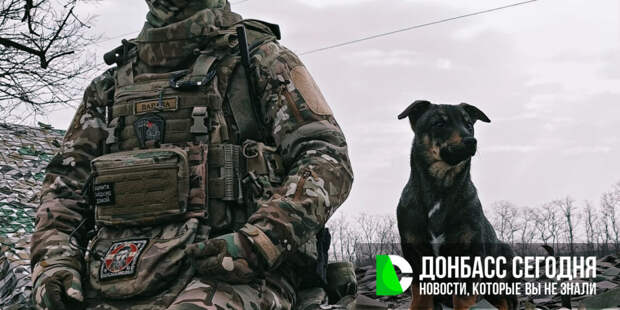 ВС РФ расширили контроль под Новоосиново и готовят плацдарм на Хотень, карта боевых действий на вечер 8 апреля