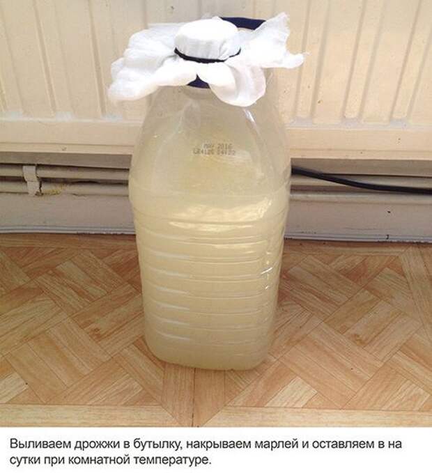 Делаем домашний лимонный квас Домашний квас, лимонный квас