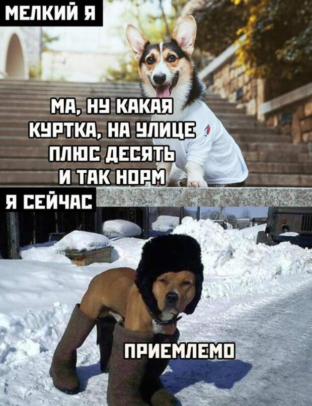 Смешные картинки 8 октября 2021 года