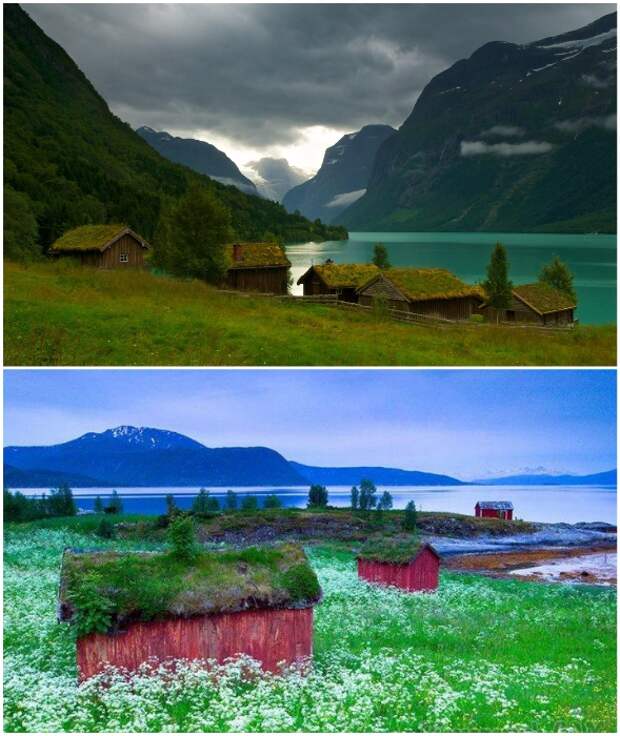 Колоритные домики идеально вписываются в живописный скандинавский пейзаж. 