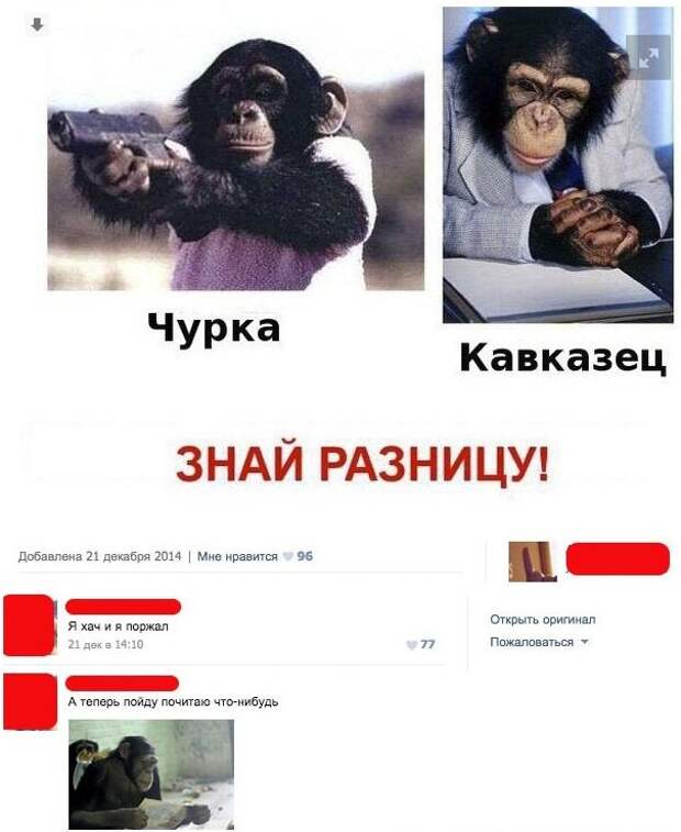 Комментарии с приколами