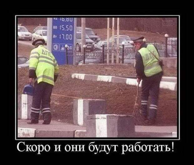 Смешные картинки, демотиваторы дня