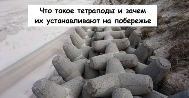 Что такое тетраподы и зачем их устанавливают на побережье