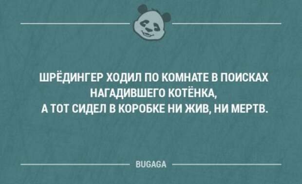 Смешные мысли и короткие анекдоты. Часть 69 (17 шт)