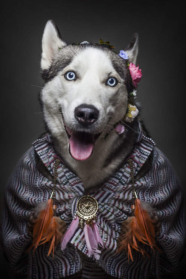 1. Кава портреты животных, собаки, фотопроект