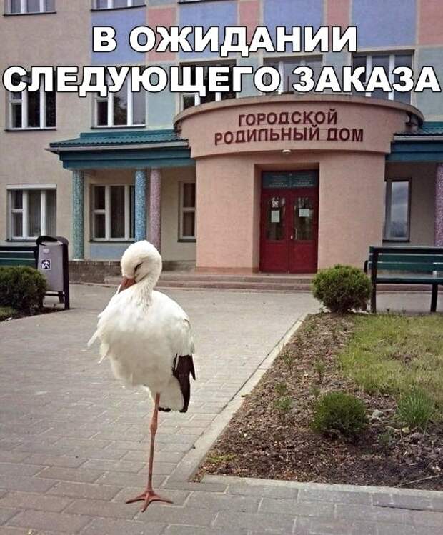 Картинки с надписями, истории и анекдоты