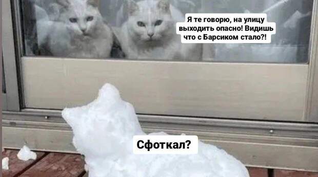 Все главные, лучшие и самые смешные мемы — зима 2026 года