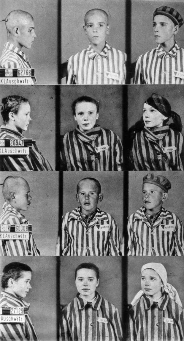 Учетные фотокарточки детей-узников концлагеря Освенцим, 1942 год. было, история, фото