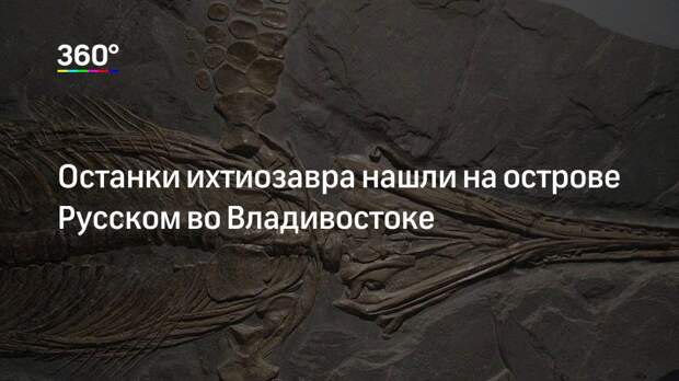 Останки ихтиозавра нашли на острове Русском во Владивостоке