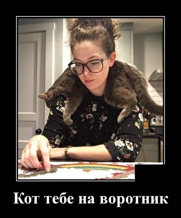 Демотиваторы (30 фото)